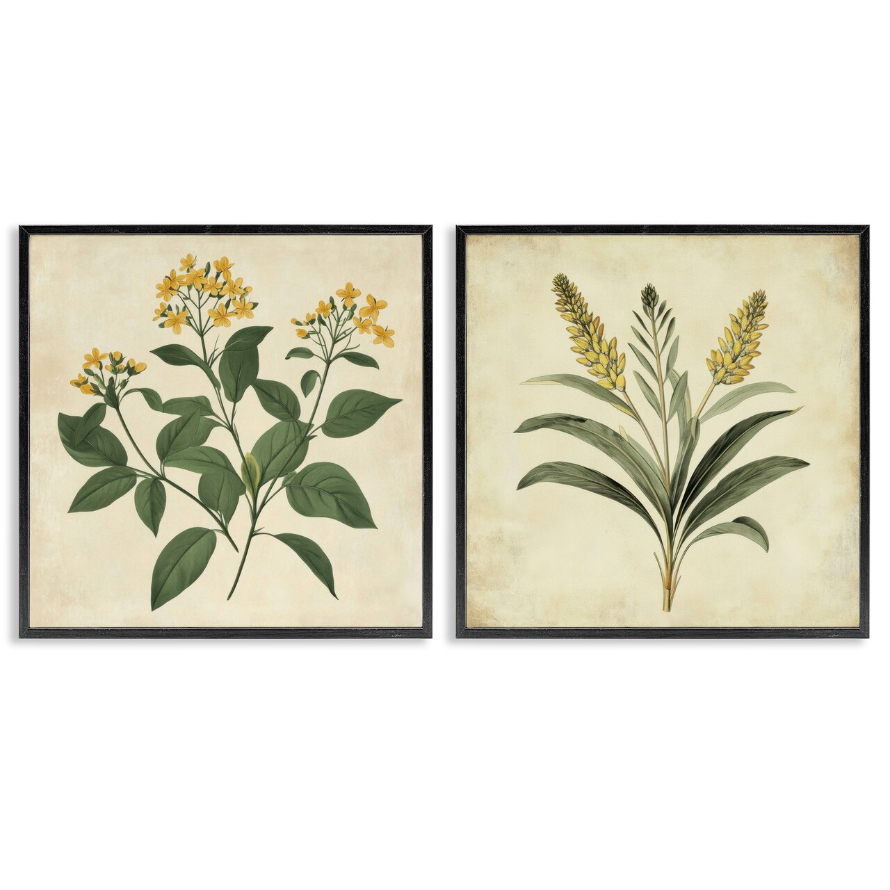 Stupell Industries Vintage Yellow Bushels and Wheat 2pc Framed Giclee Set, design by Petal Prints Design